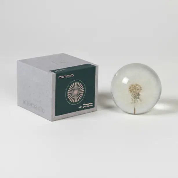 Presse-paper Flowersphere n.01 Dandelion