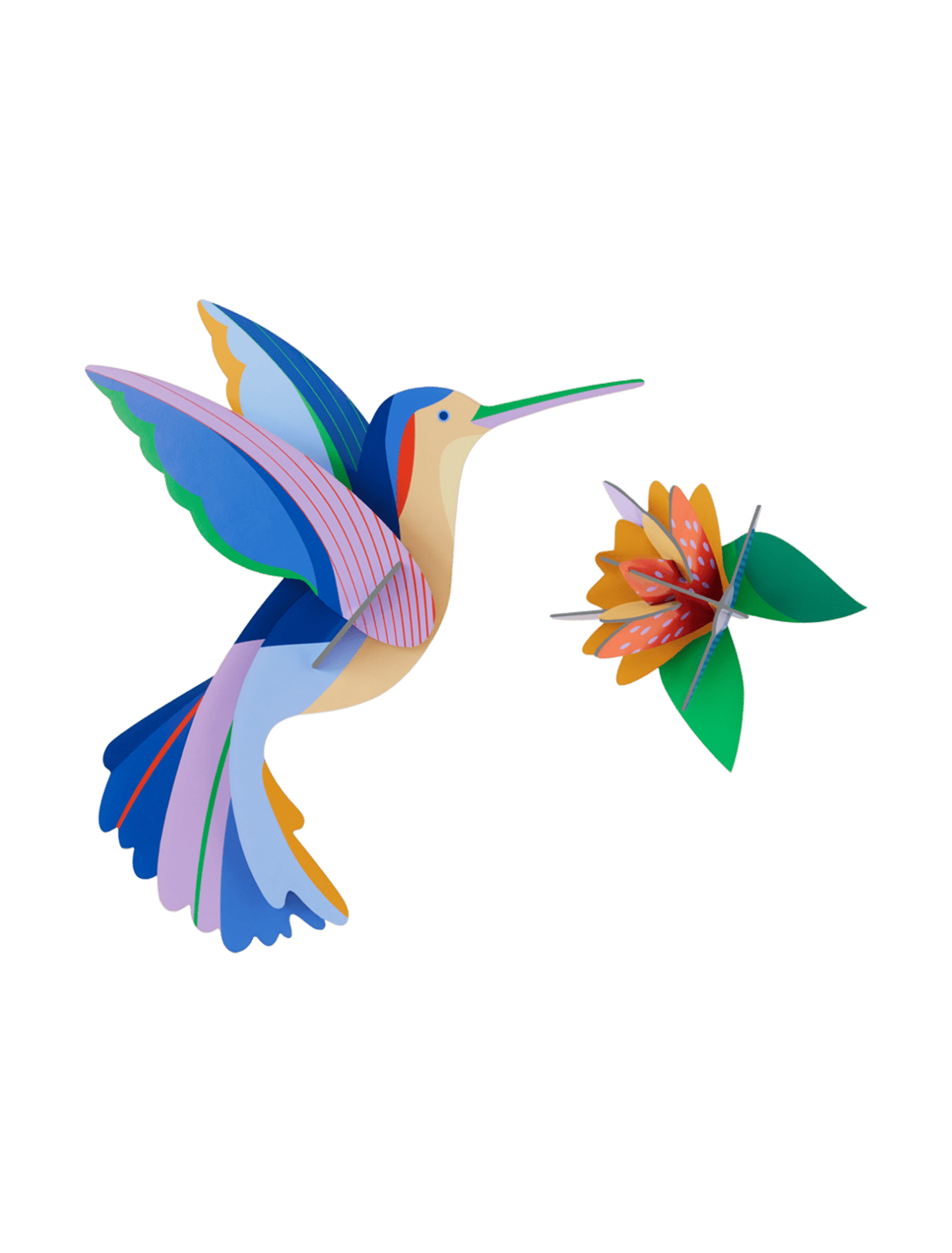 Décoration Murale - Paradise Bird - Hummingbird