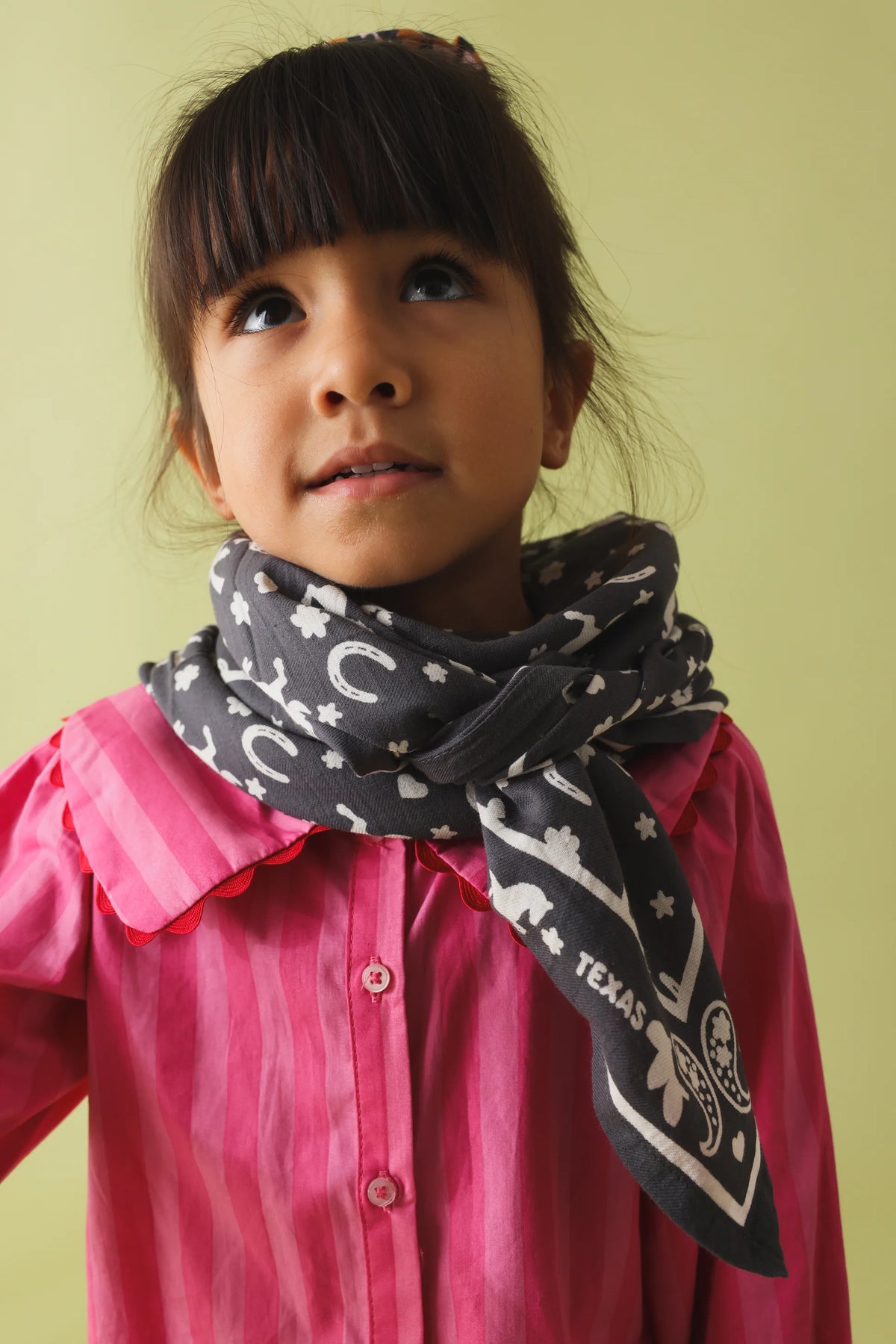 Grey Cowboy Bandana