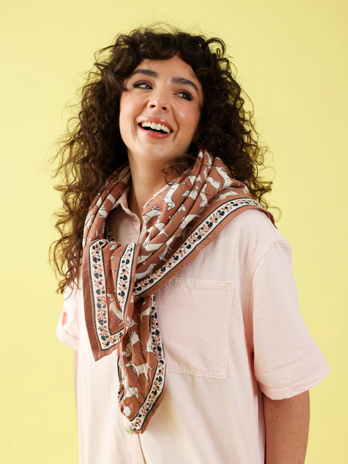 Foulard Teckel Brown