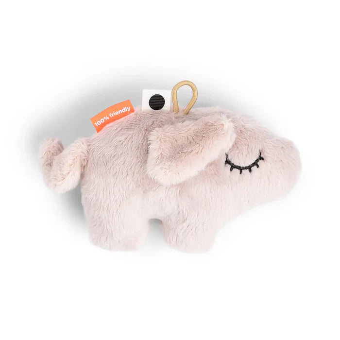 Mini sensorische ratel - Pigee