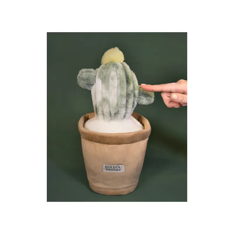 Peluche Botanique - Cactus