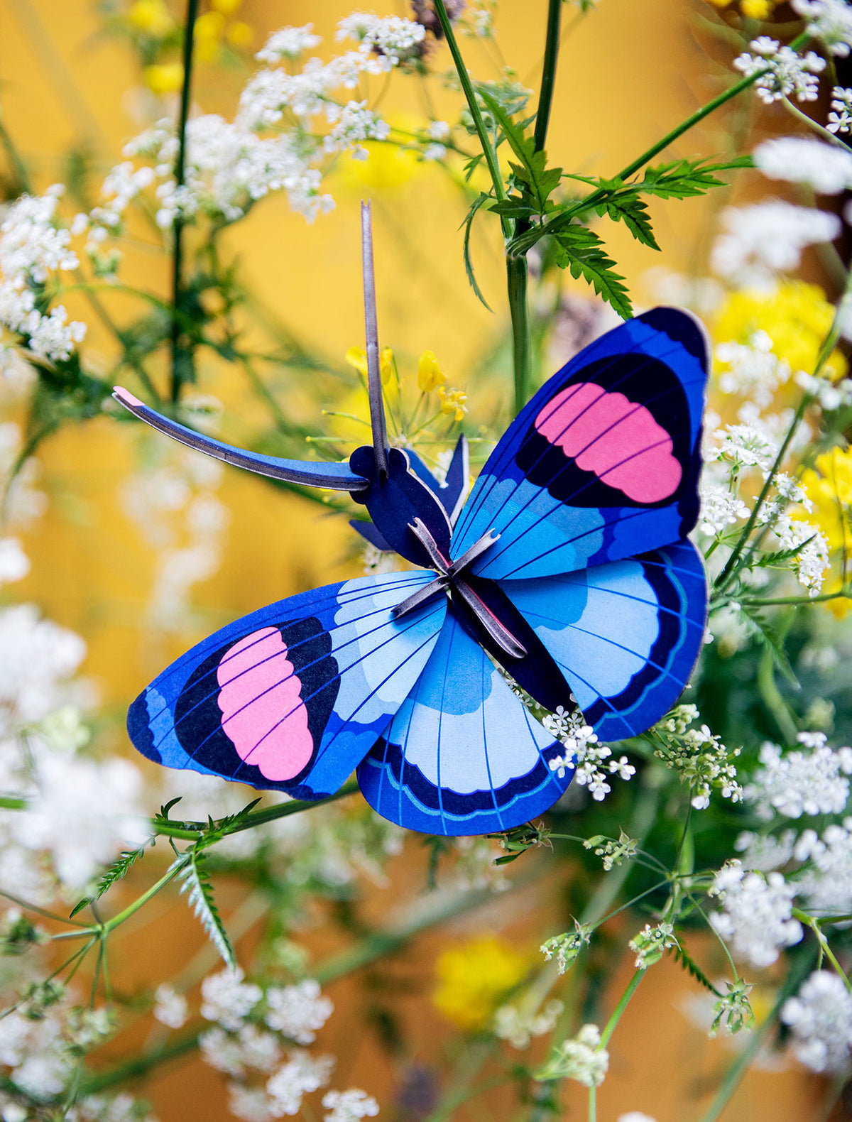 Peacock Butterfly Wall Decoration