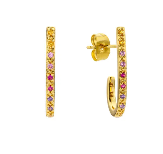 Rainbow Long Delhi Earrings