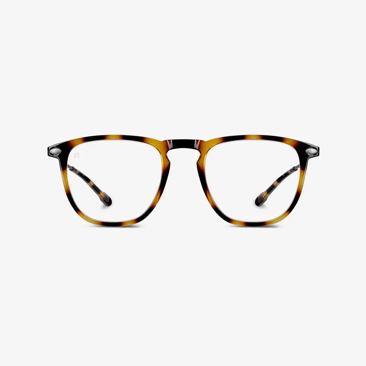 Lunettes de Lecture - Dino Tortoise