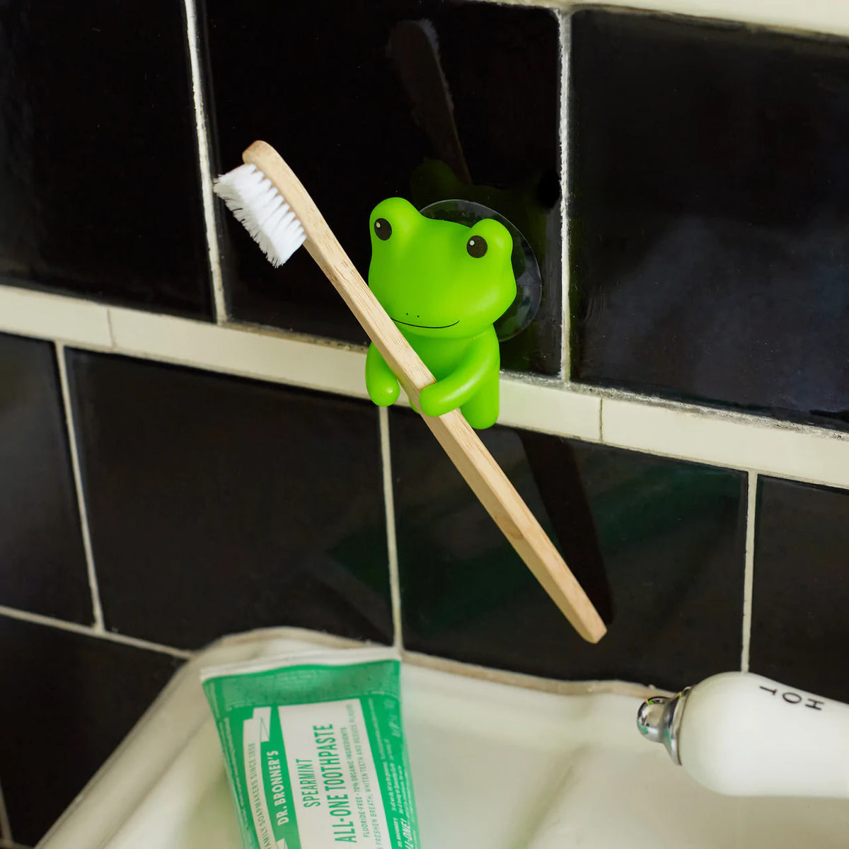 Toothbrush holder -  Frog