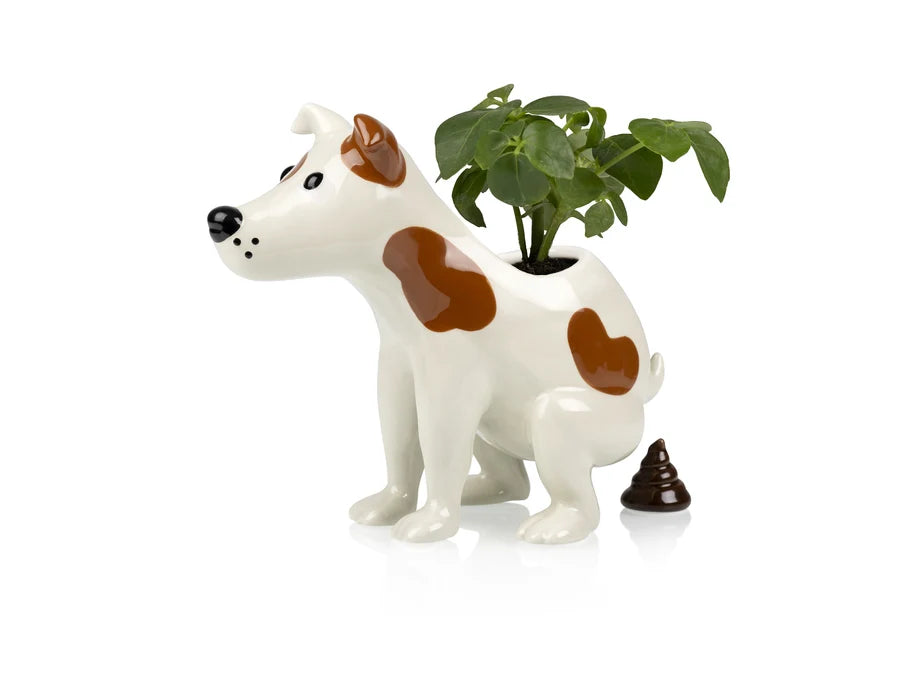 Jardinière Pooing Dog