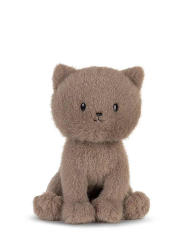 Peluche Freddy le chat britannique à poil court dans son coffret cadeau