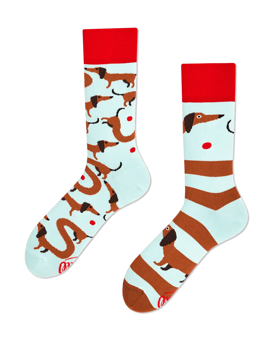 Chaussettes hautes dépareillées - Teckel