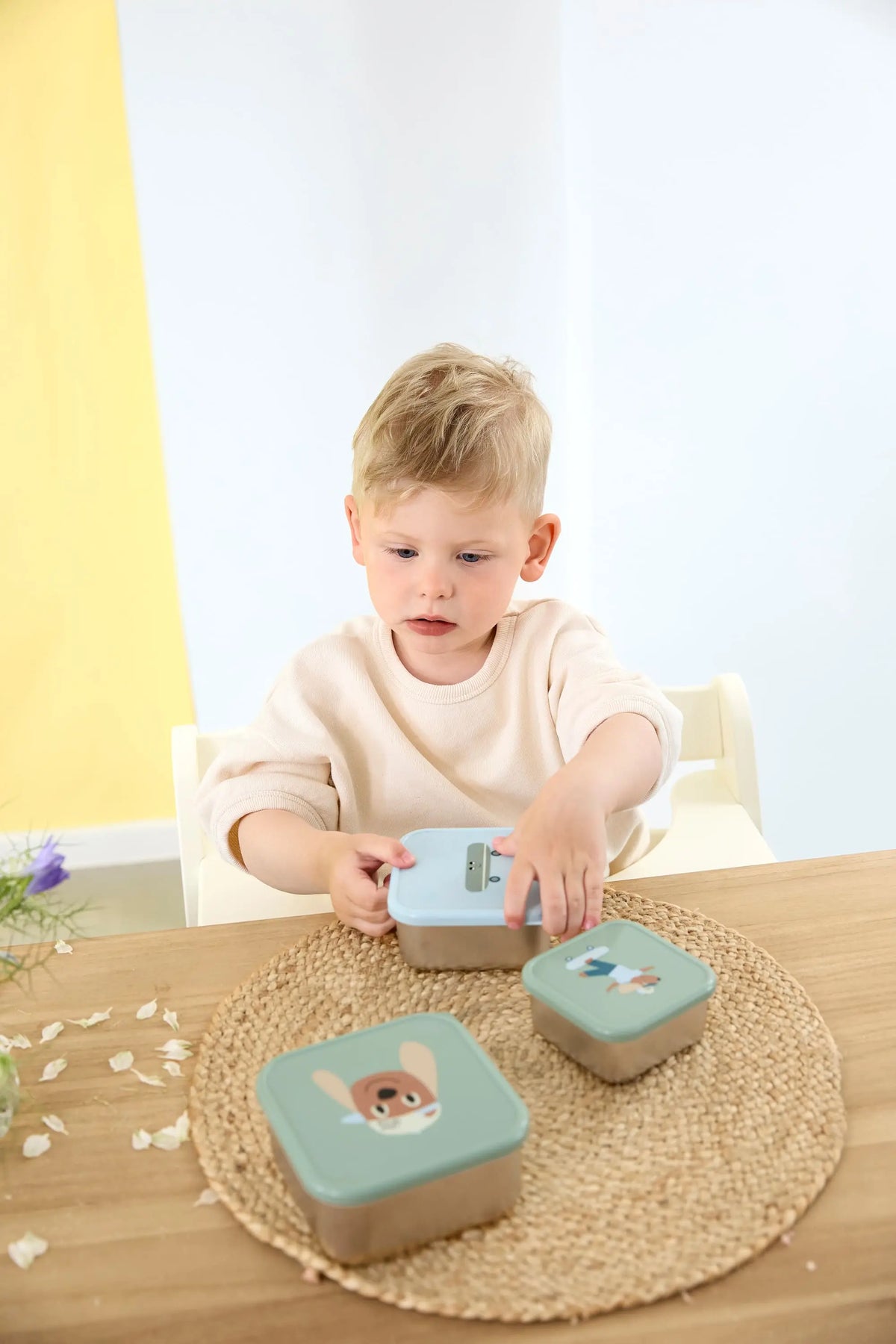 Team Dog kleine roestvrijstalen snackboxen - Groen (set van 3)