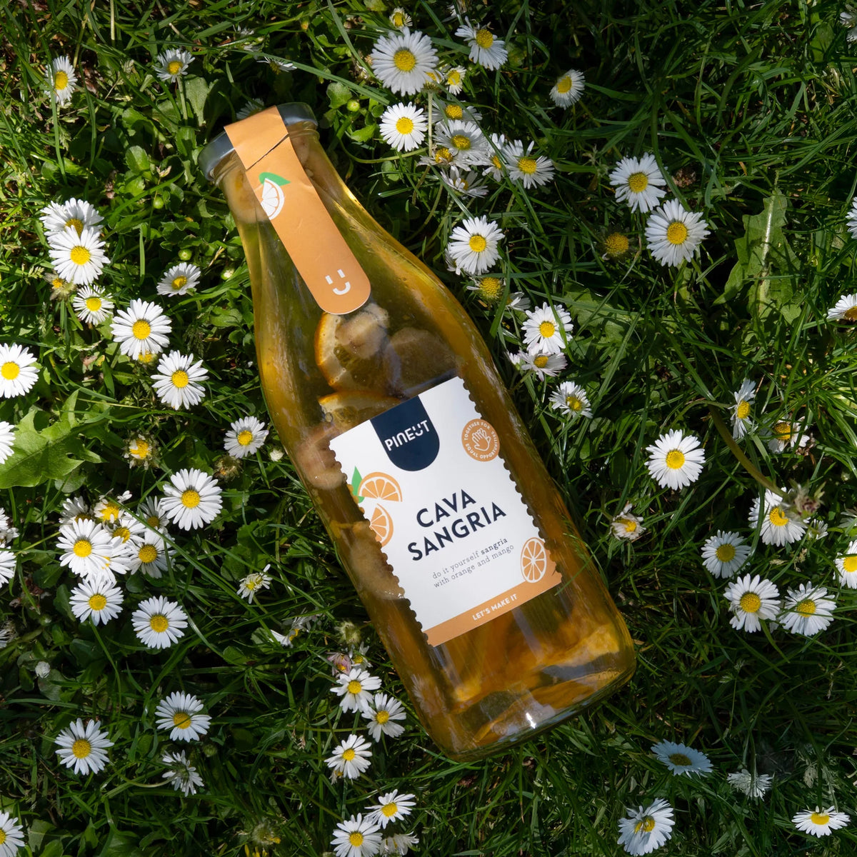 Préparation à cocktail - Cava Sangria