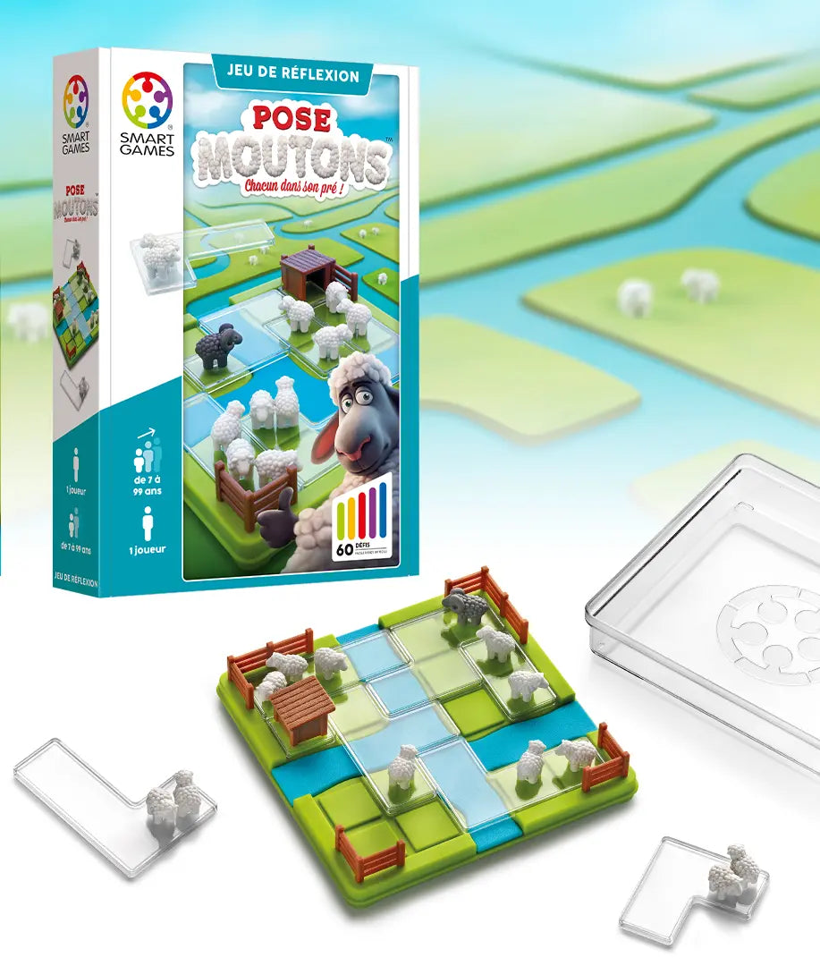 Jeu de Réflexion - Pose Moutons