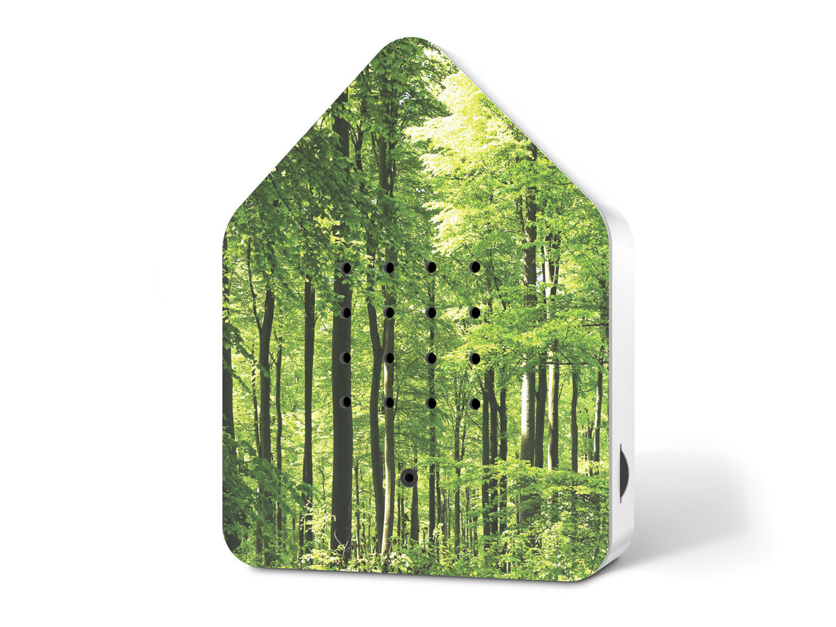 Boîte à sons Zwitscherbox Forêt chant des oiseaux